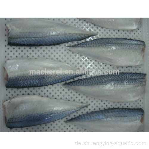 Makrelefilets Fisch mit EU -Standard gefroren